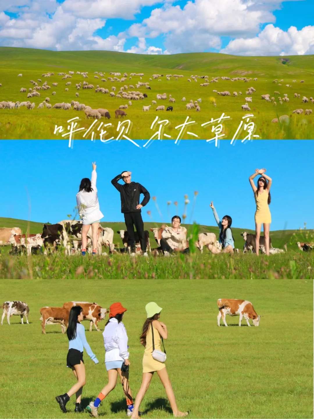 策马奔腾：领队选手断金挥戈，美梦成真